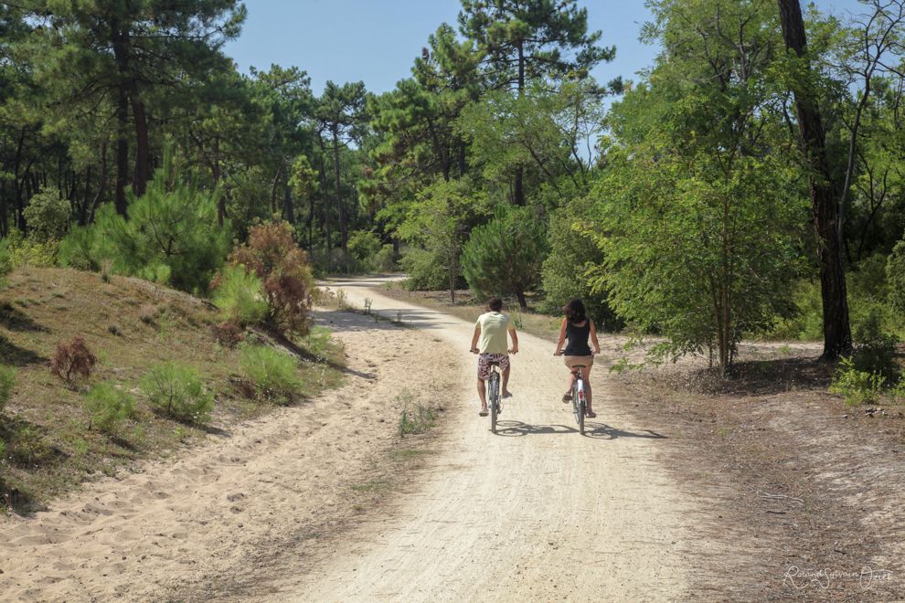 Piste cyclable notre dame de monts