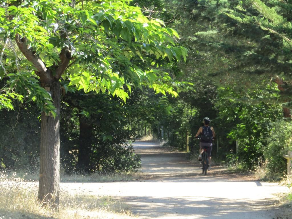 Piste cyclable notre dame de monts